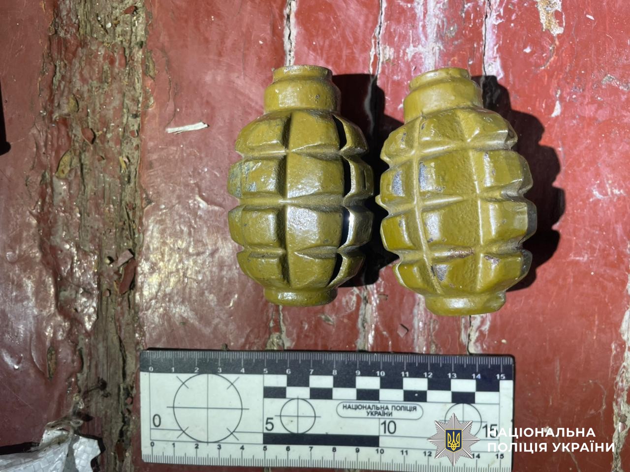 На Вінниччині жінка викликала поліцію, бо чоловік ображав, а в нього знайшли боєприпаси