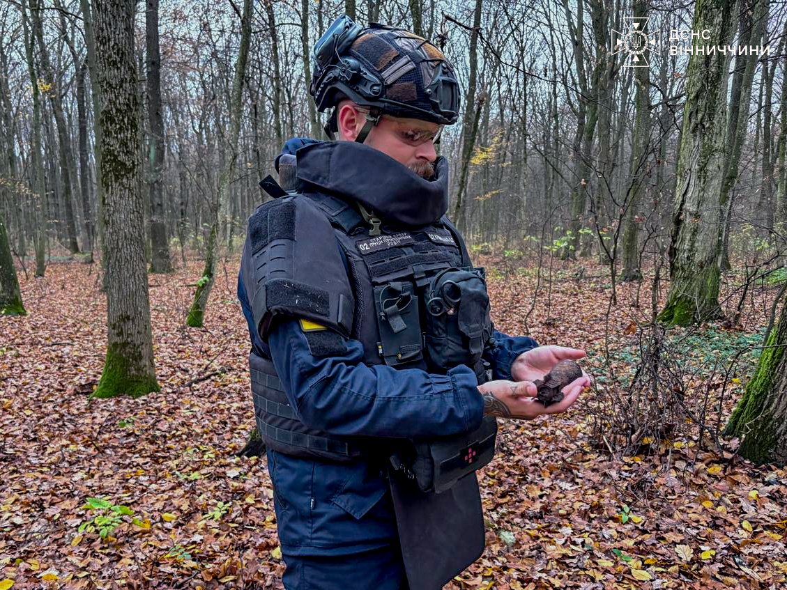 У лісах Вінниччини знайшли міну та артснаряди