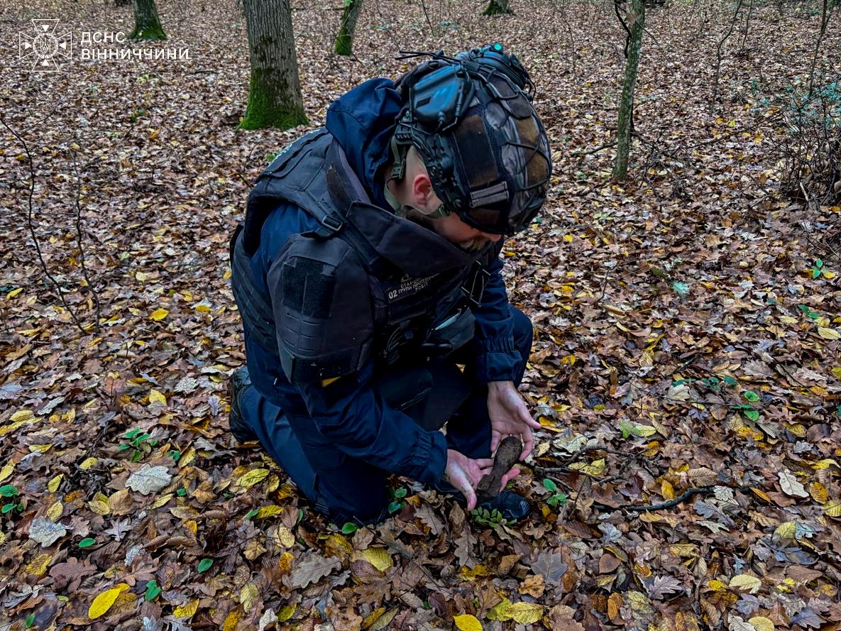 У лісах Вінниччини знайшли міну та артснаряди - фото 2