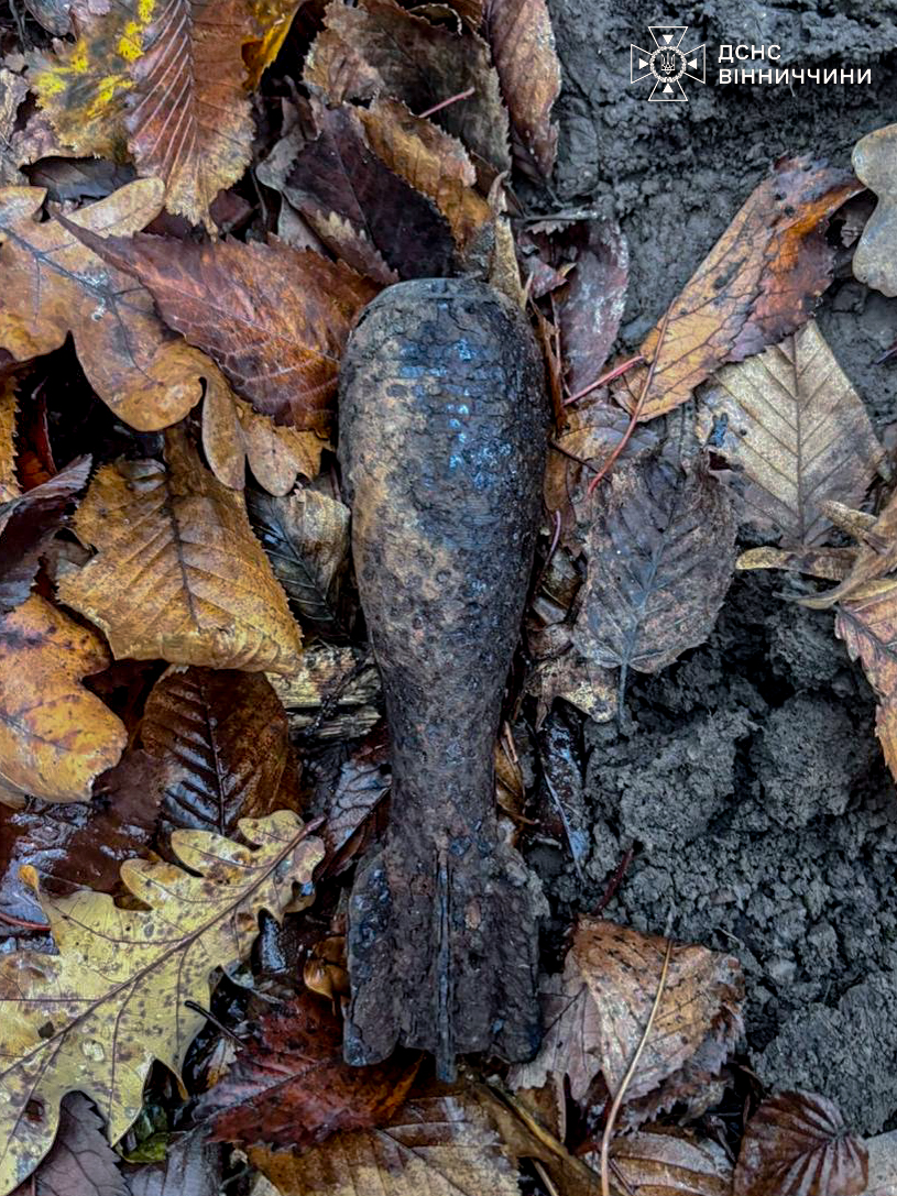 У лісах Вінниччини знайшли міну та артснаряди - фото 3