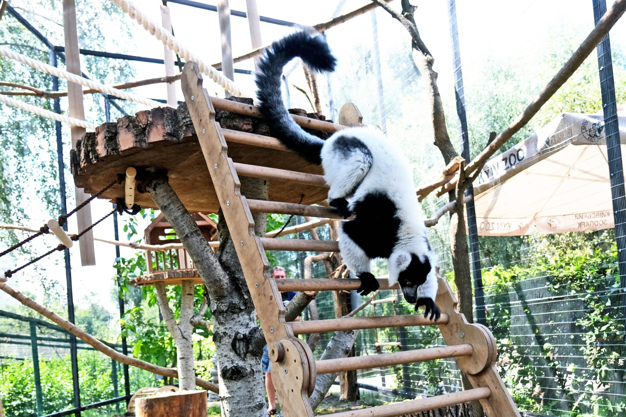 Контактні зоопарки Київщини: місця, де тварин можна не лише побачити, а й торкнутися