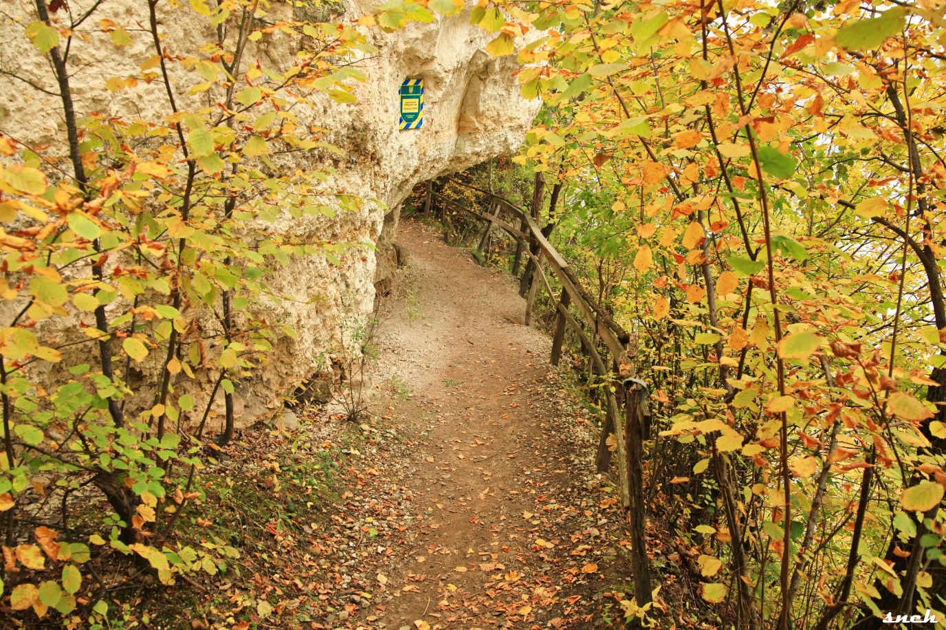 Осінь у Бакоті: як виглядають величні скелі Дністра восени. Фото - фото 2