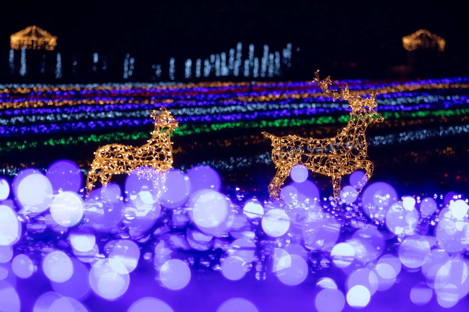 На Київщині відкриється резиденція Грінча та Доброчара