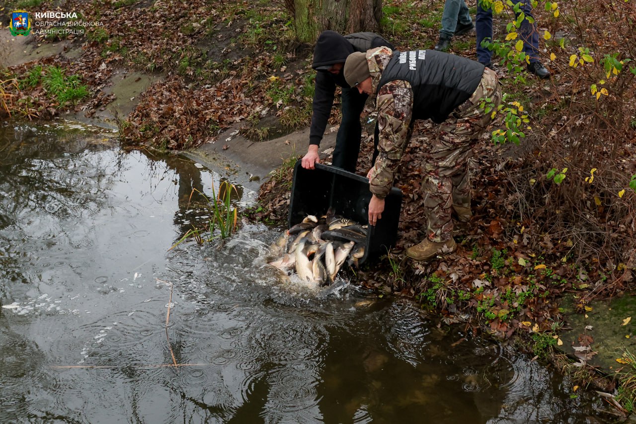 У Бородянці зарибили каскад озер