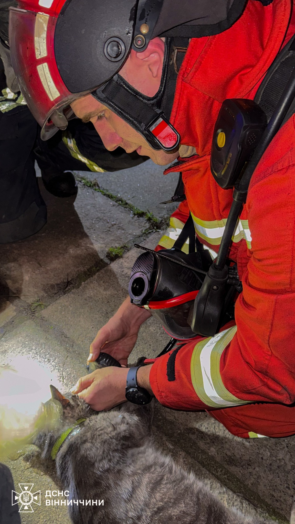 Кисень і кілька хвили боротьби: у Вінниці врятували кошеня з пожежі