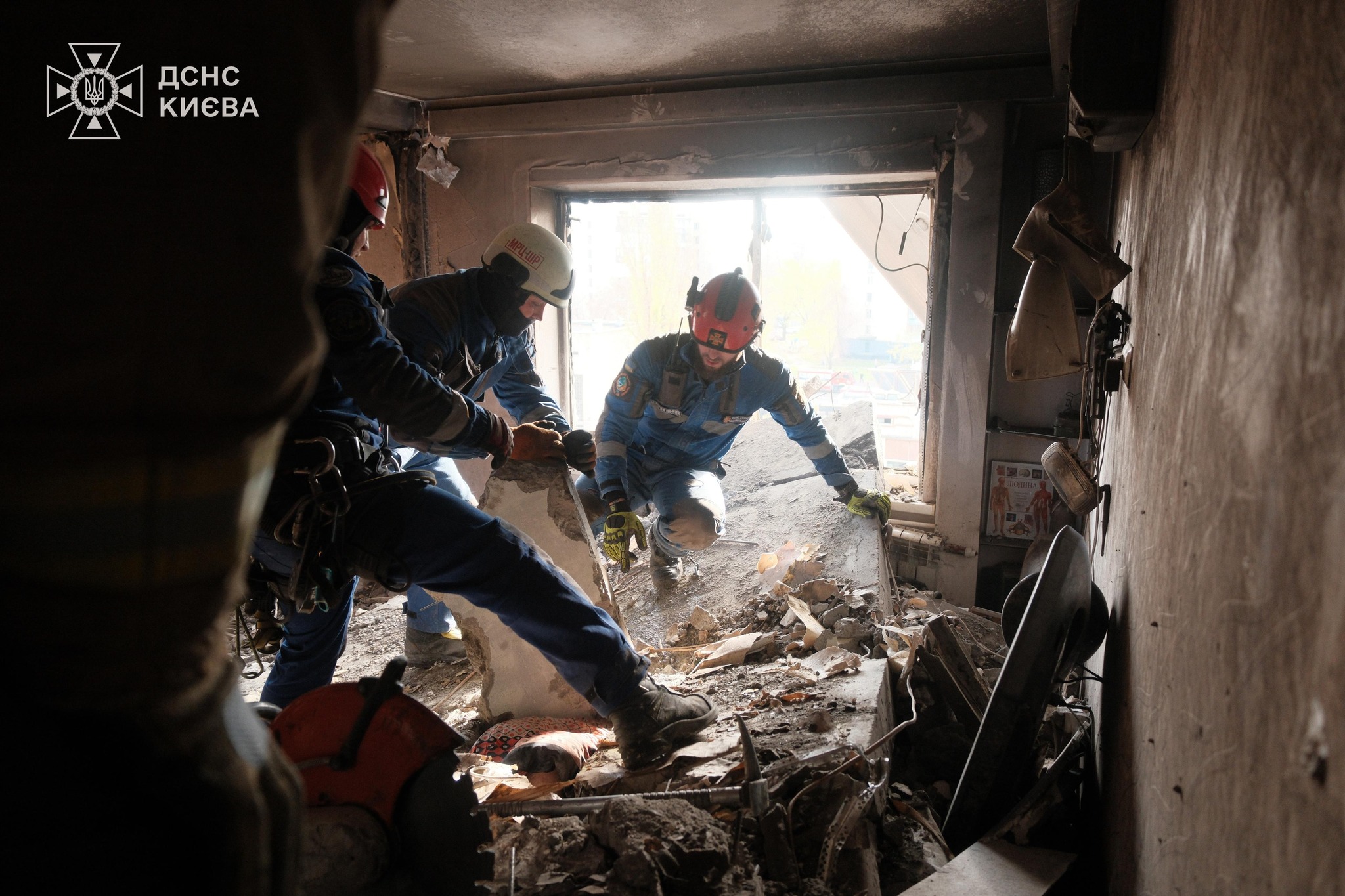 У Деснянському районі кінологи з собаками та ДСНСники шукають людей під завалами - фото 2