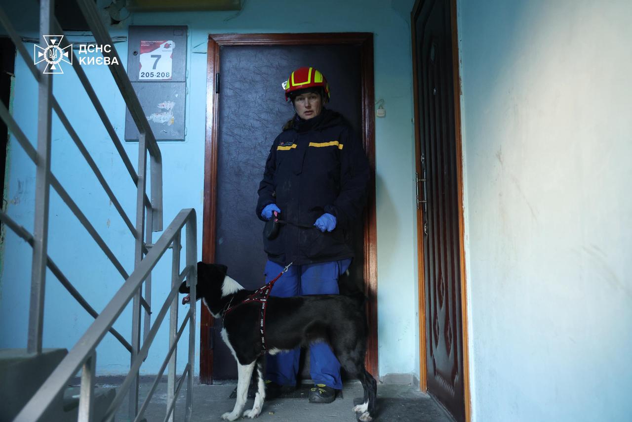 У Деснянському районі кінологи з собаками та ДСНСники шукають людей під завалами - фото 14