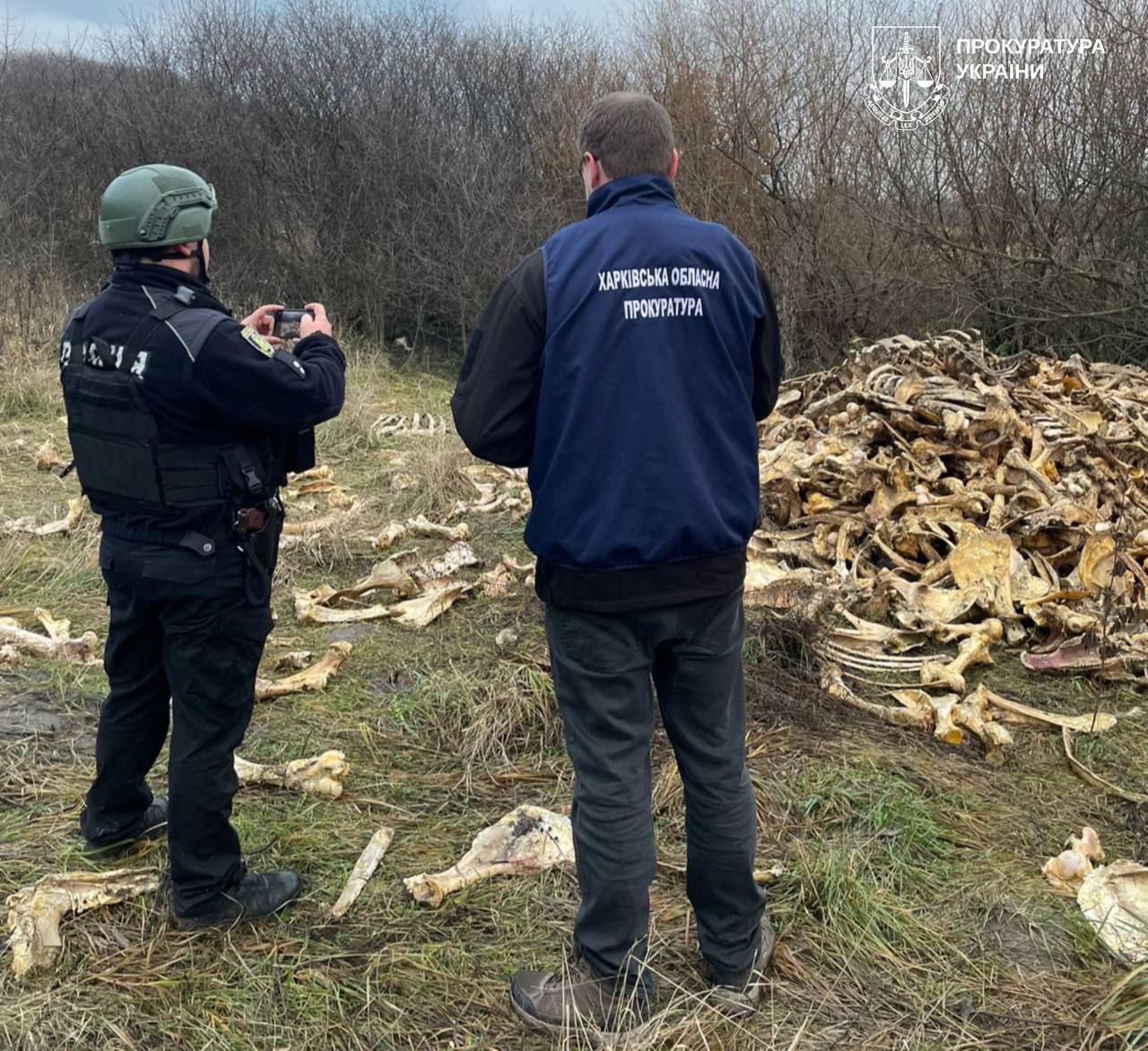 Звалище кісток виявили на Харківщині, люди скаржаться на сморід