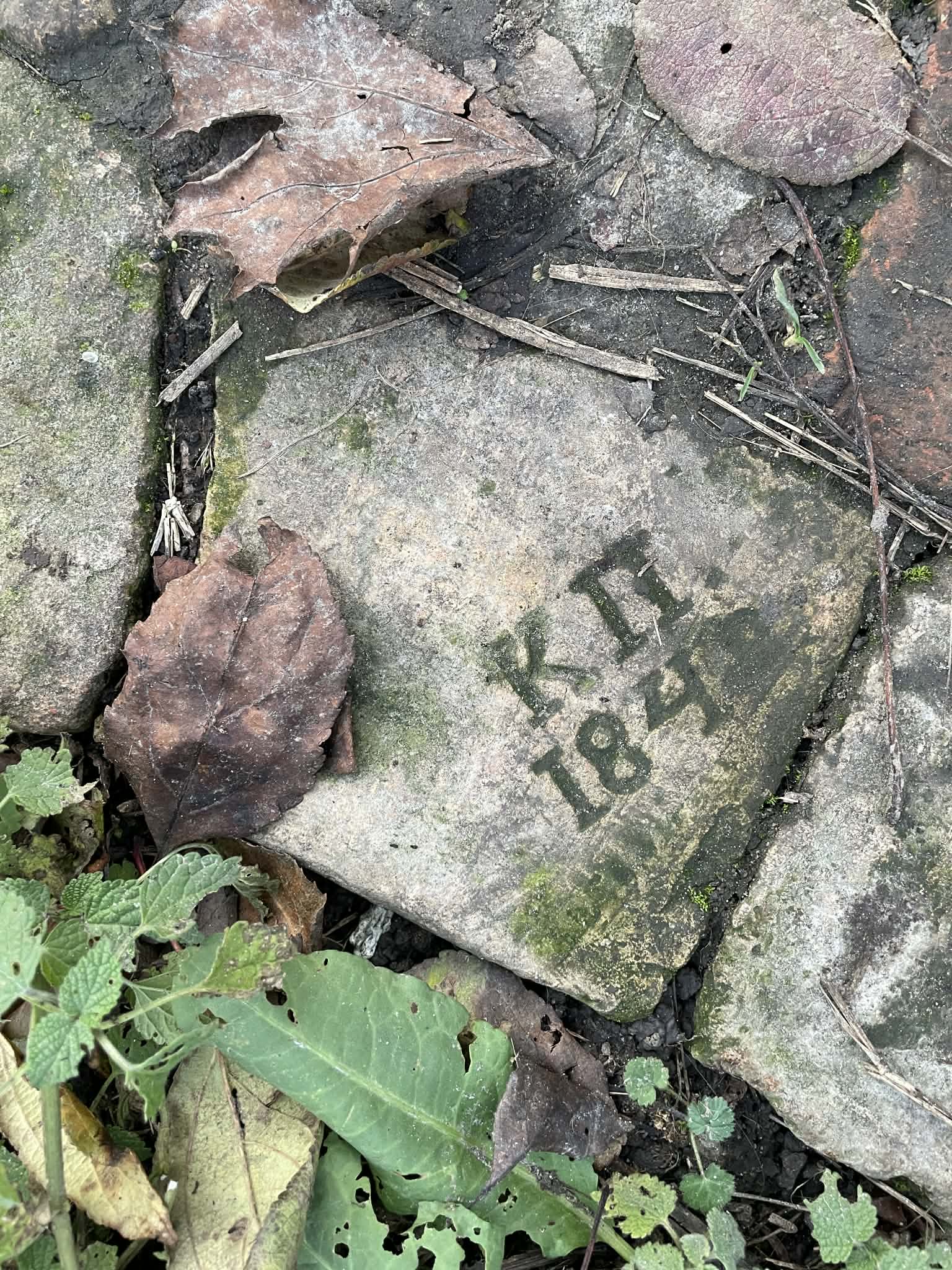 Склепіння, мур та невідомі підземелля: дослідники шокували знахідками на горі у Києві - фото 4