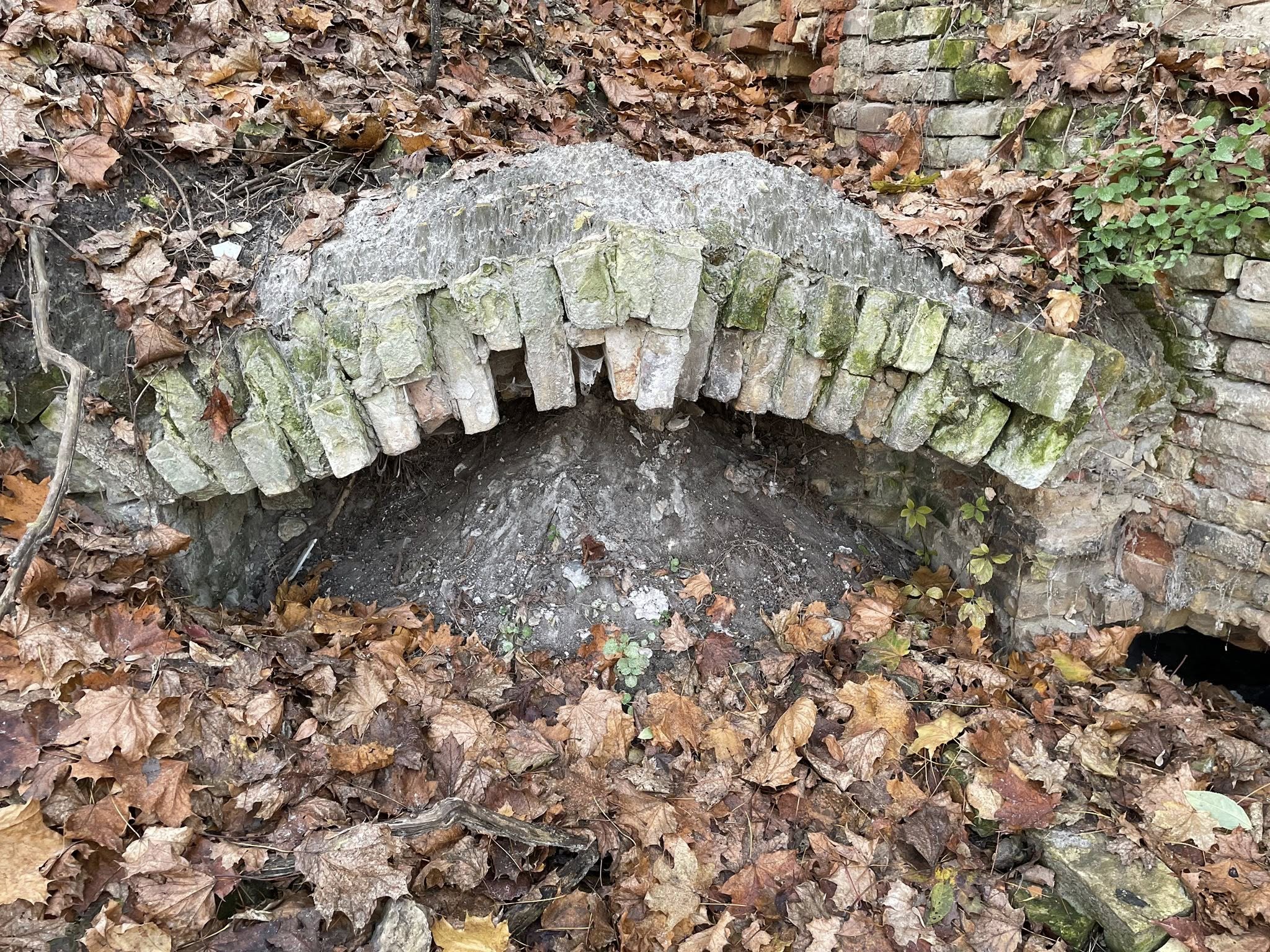 Склепіння, мур та невідомі підземелля: дослідники шокували знахідками на горі у Києві - фото 7