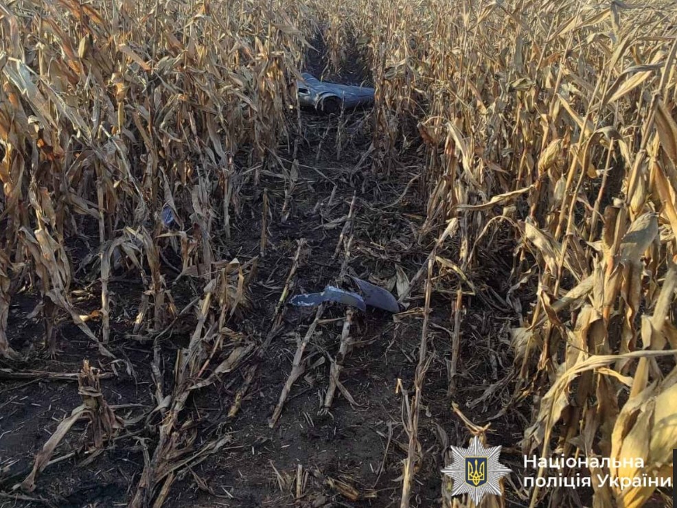 Під час збору кукурудзи аграрії Вінниччини виявили уламки «шахедів» та ракет