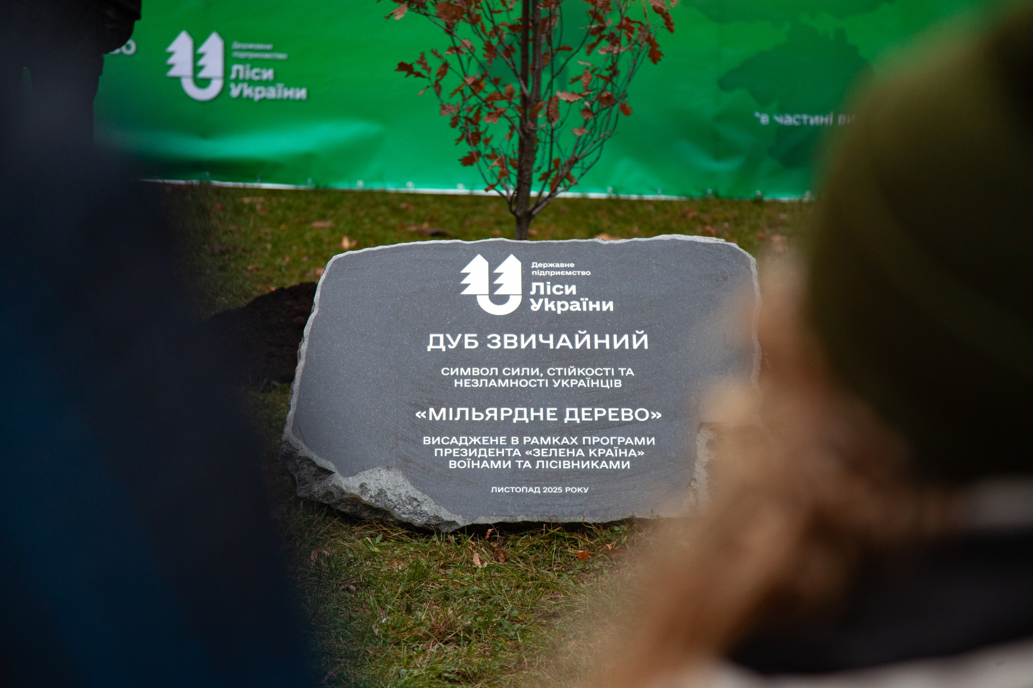 У Києві висадили символічне «мільярдне дерево»