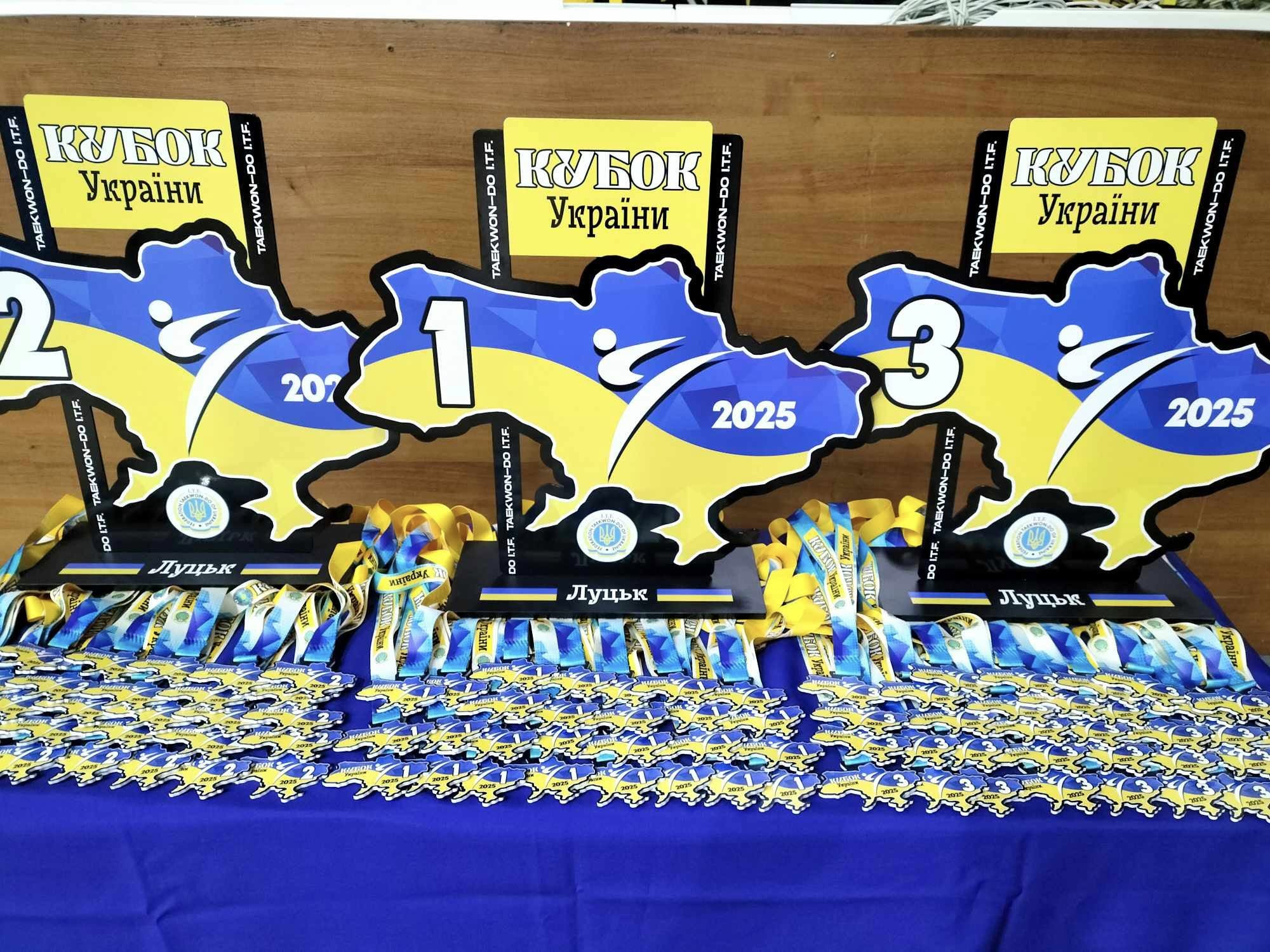 Черкащани – серед лідерів на Кубку України з таеквондо