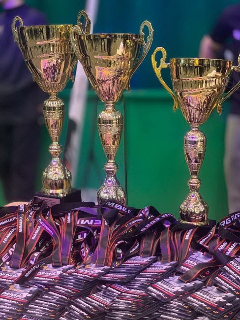 Спортсмени Вінниччини здобули «золото» на Всеукраїнському турнірі зі змішаних єдиноборств