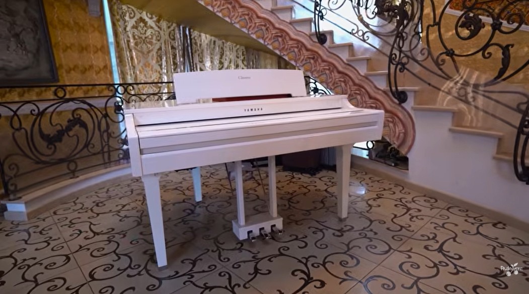 Співачка Камалія показала розкішний маєток на Київщині - фото 5