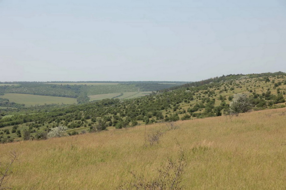 Вінницький суд поставив крапку в питанні створення заказника «Гора Лисківка»