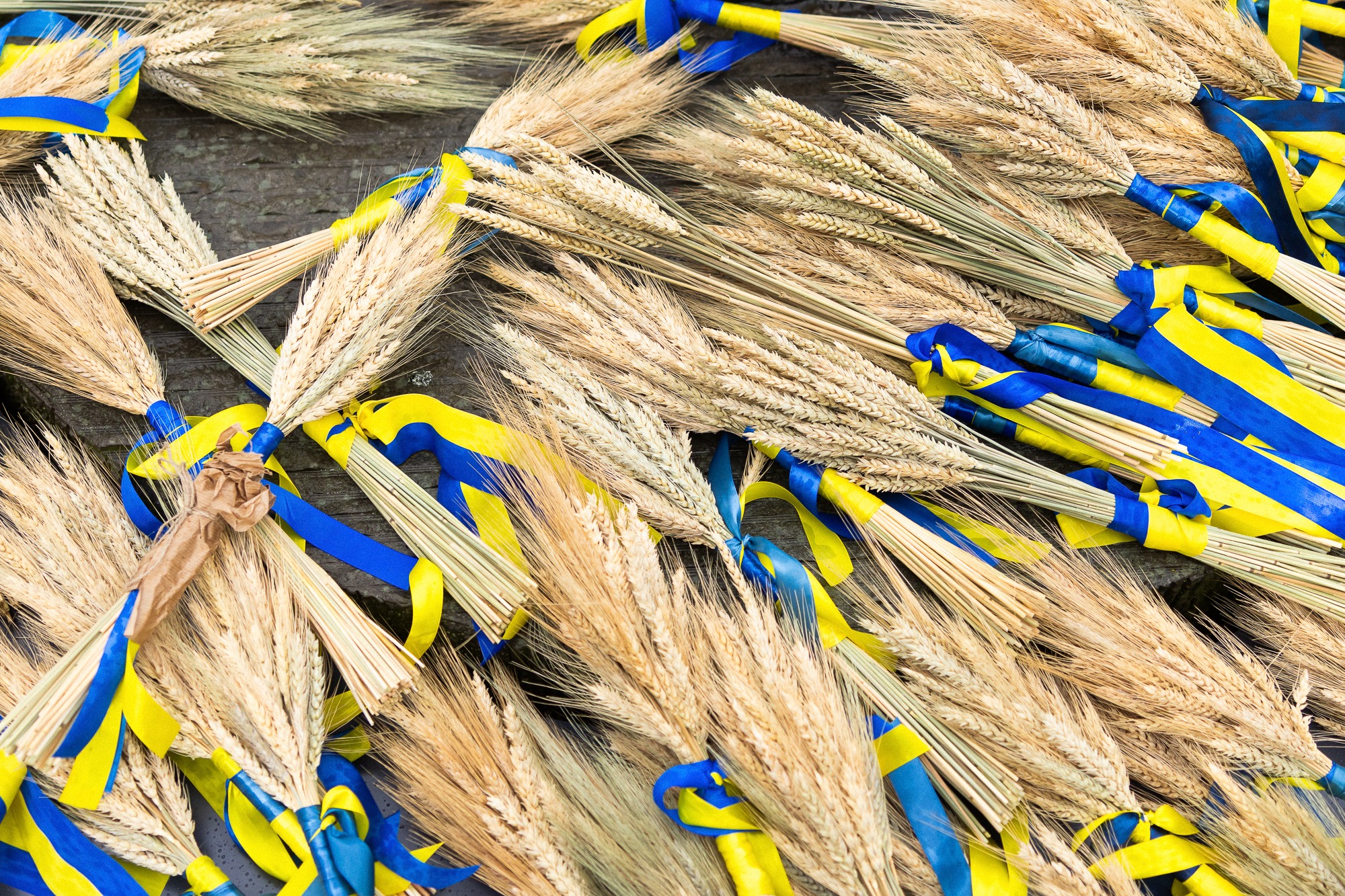 Президент і Перша леді вшанували пам’ять жертв Голодоморів