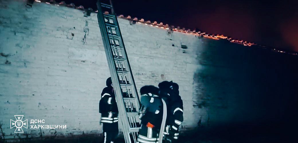 60 свиней загинули через дроновий обстріл Харківщини - фото 2