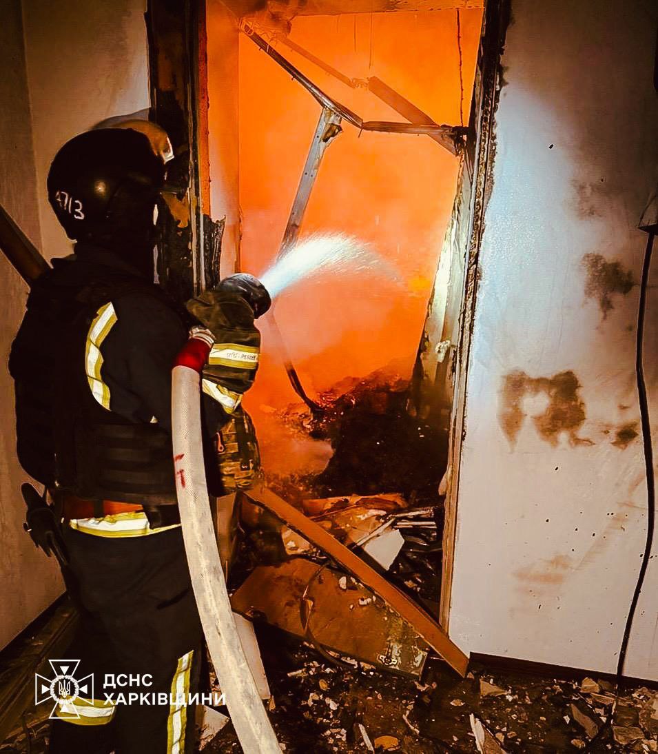 60 свиней загинули через дроновий обстріл Харківщини - фото 5