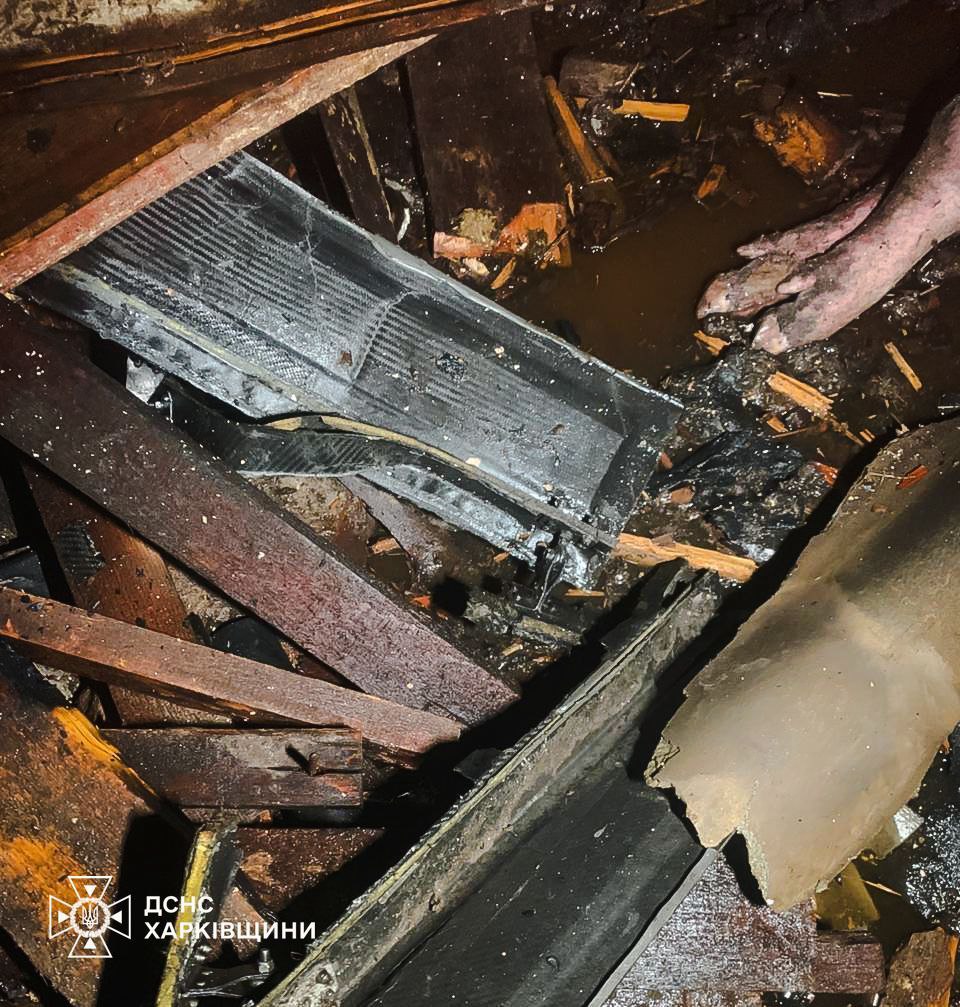 60 свиней загинули через дроновий обстріл Харківщини - фото 6