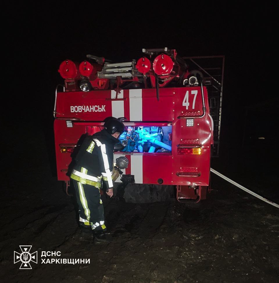 60 свиней загинули через дроновий обстріл Харківщини