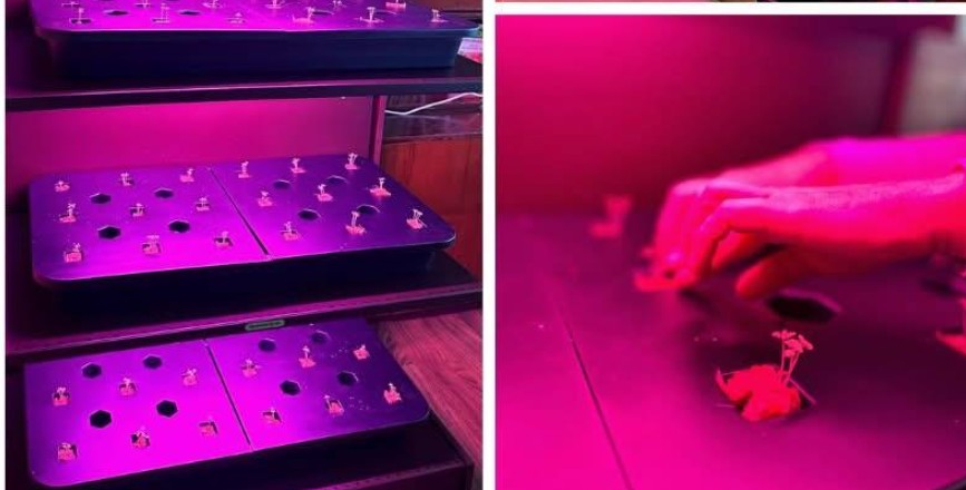 Дві черкаські школи отримали MiniSTEM-лабораторії