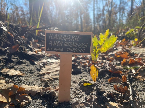 У київських лісах висадили нащадків Шевченкових дубів - фото 3