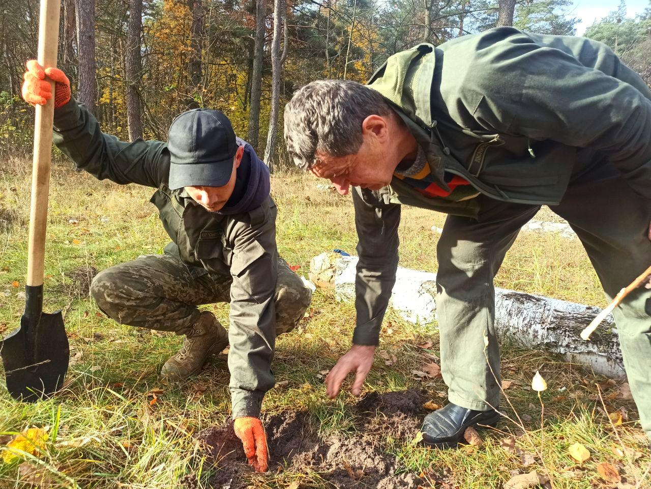 У київських лісах висадили нащадків Шевченкових дубів
