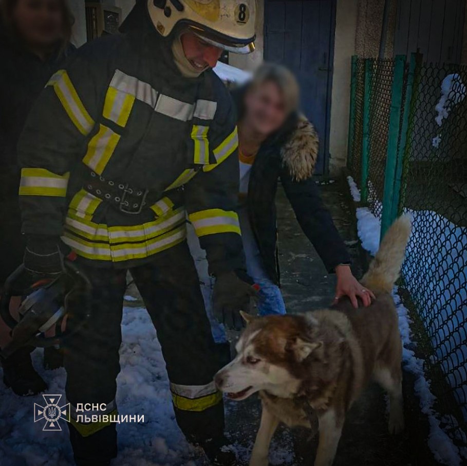 Врятували хаскі, який застряг, перестрибуючи паркан