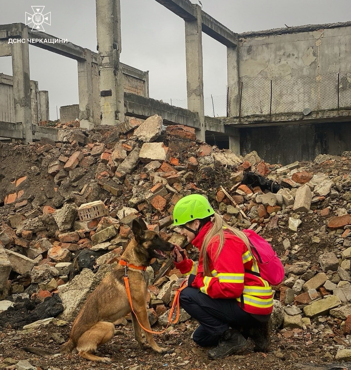 Собака черкаських рятувальників успішно склала атестацію та отримала офіційний допуск до виконання завдань