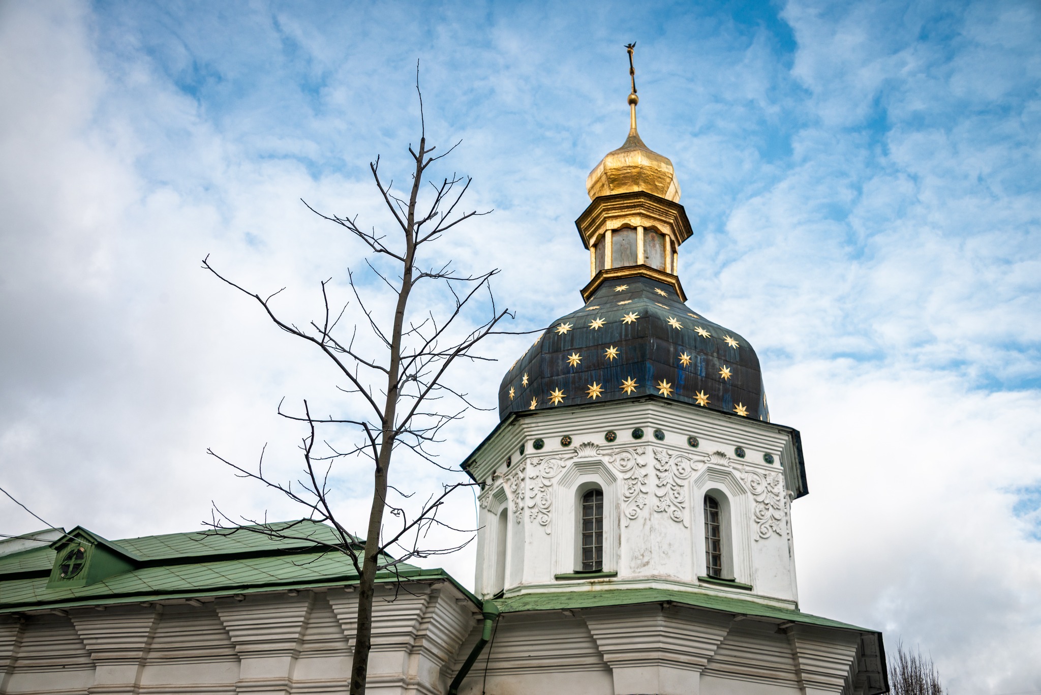 На території Лаври висадили тюльпанове дерево в пам’ять про жінок, які загинули за Україну