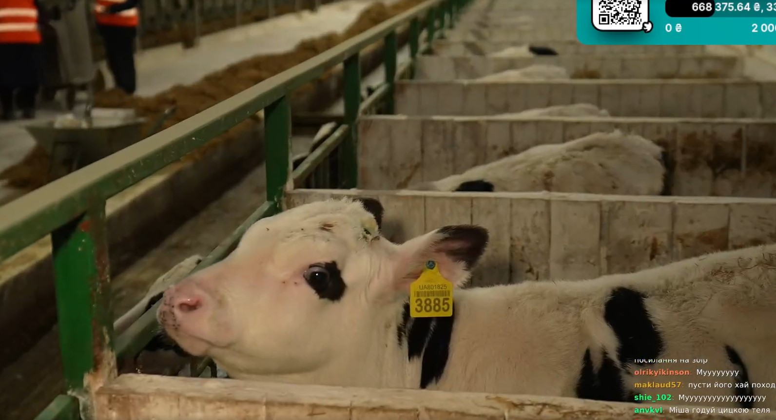 Стрімер Лебіга зняв ефір на фермі Вінниччини й зібрав мільйон для 59-ї бригади - фото 4