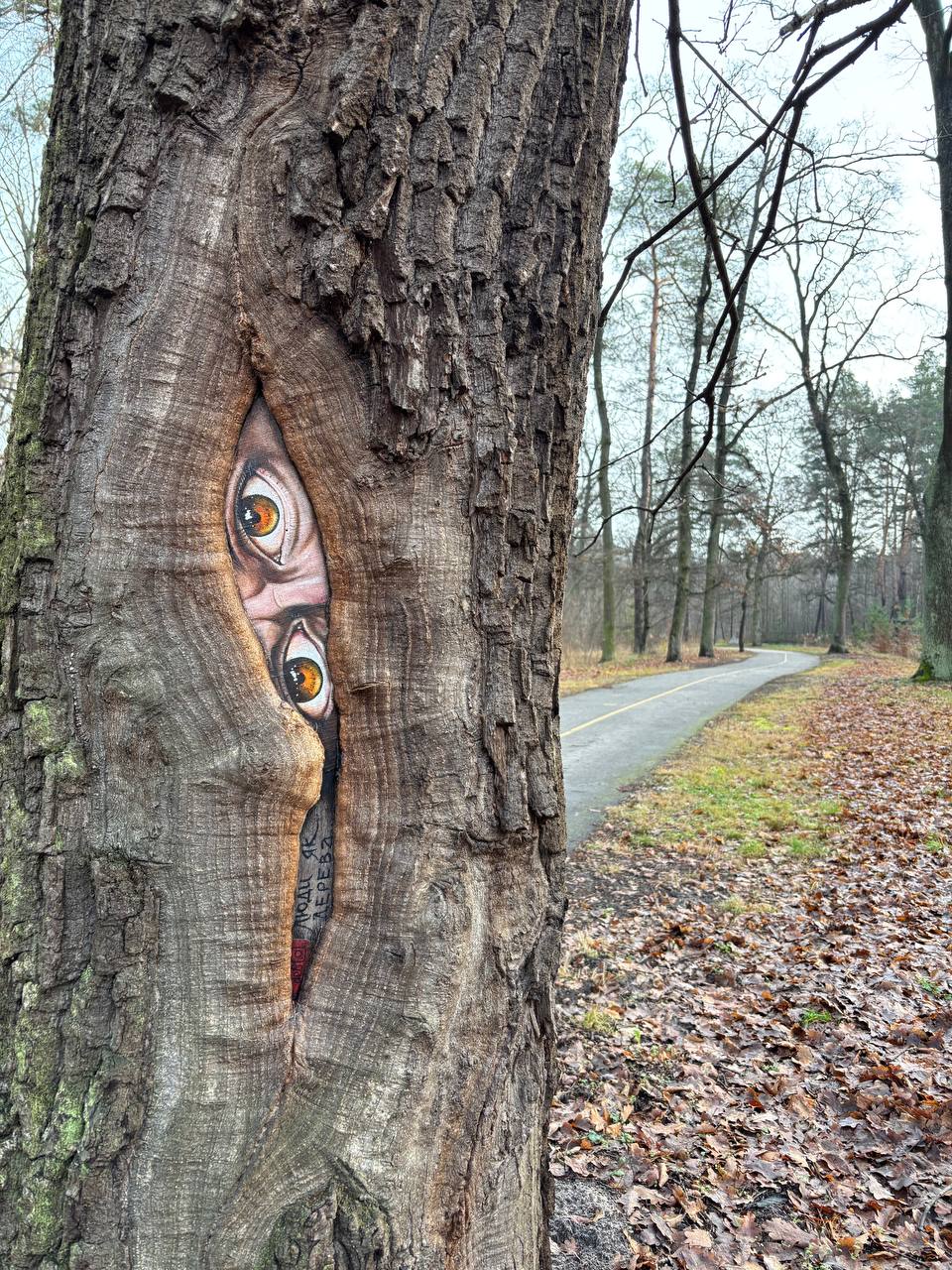 У Бучі мисткиня створила «арт-пластирі» на пошкоджених деревах