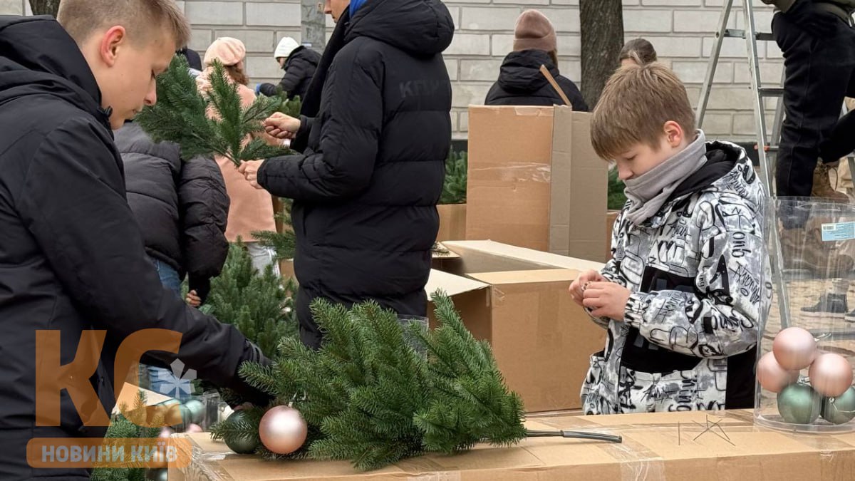 На Софійській площі встановлюють новорічну ялинку - фото 3