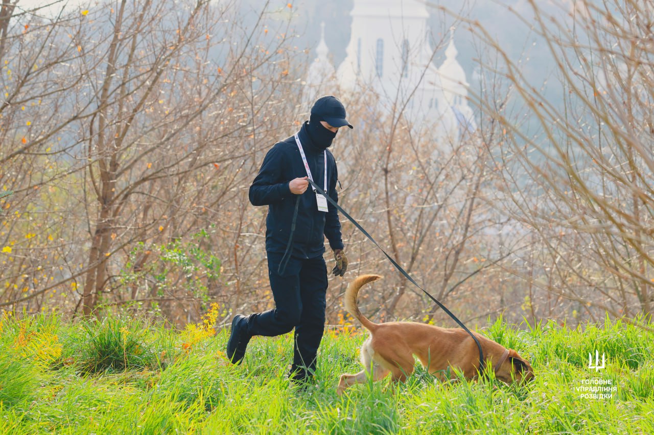 «Чотирилапі захисники»: у Києві відзначили службового пса та його кінолога - фото 2