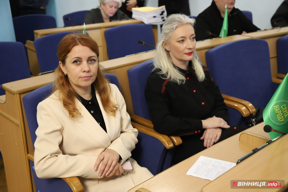 Сесія Вінницької облради: проєкти на 2026 рік і допомога ЗСУ - фото 13