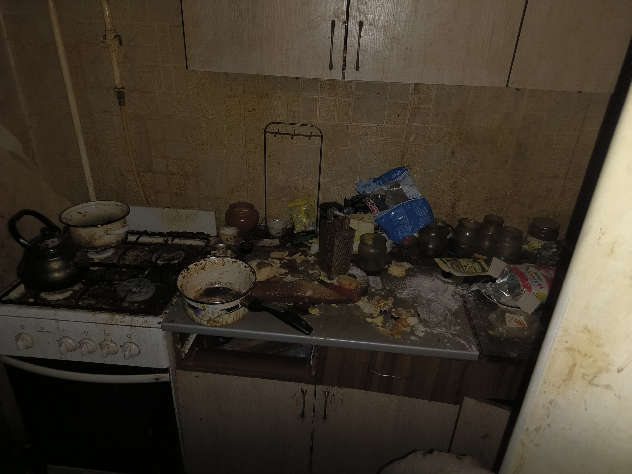 У Миколаєві жінка виховувала дітей у небезпечних умовах та антисанітарії. Сусіди звернулися до соцслужби - фото 3