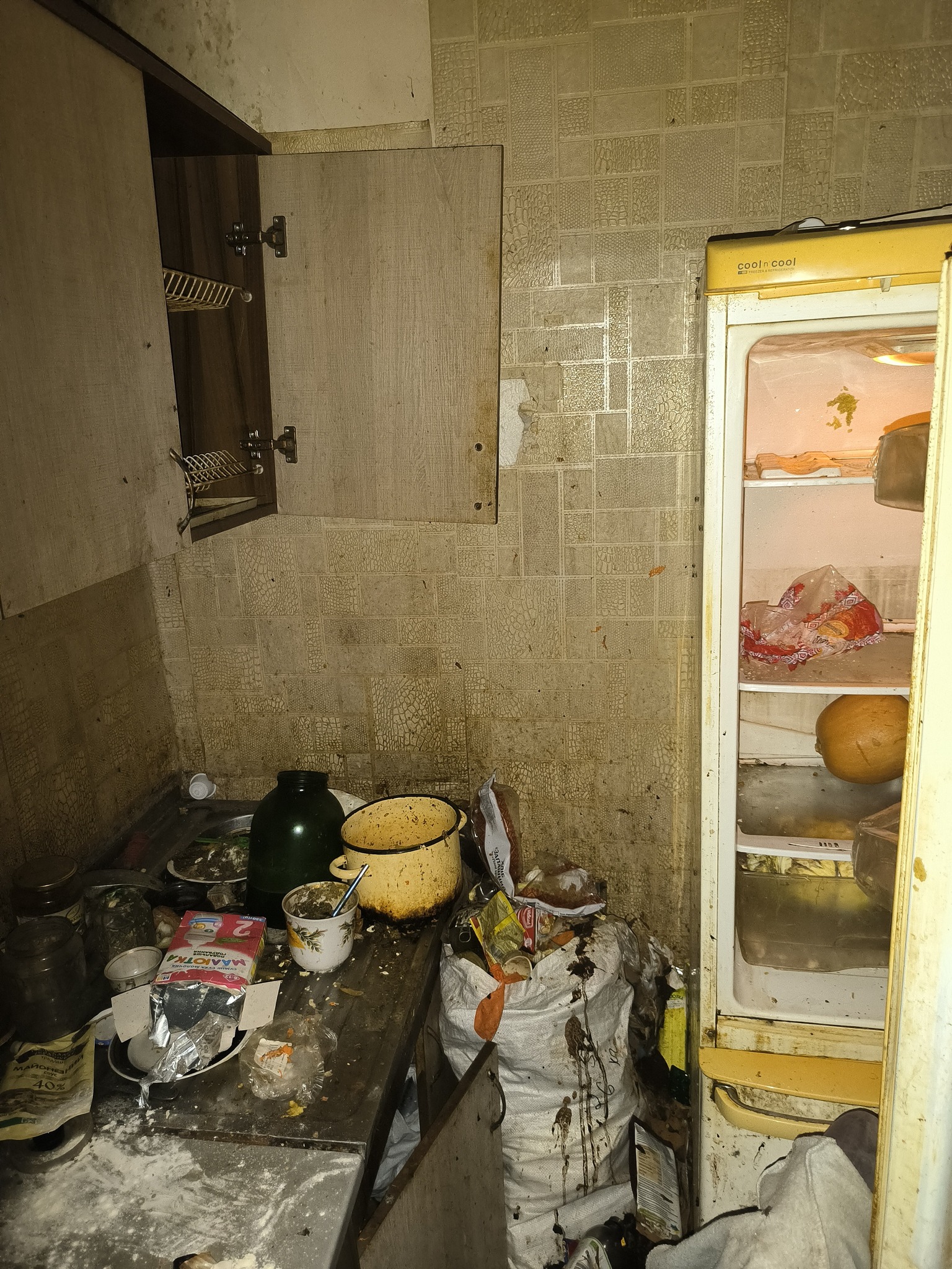 У Миколаєві жінка виховувала дітей у небезпечних умовах та антисанітарії. Сусіди звернулися до соцслужби - фото 2