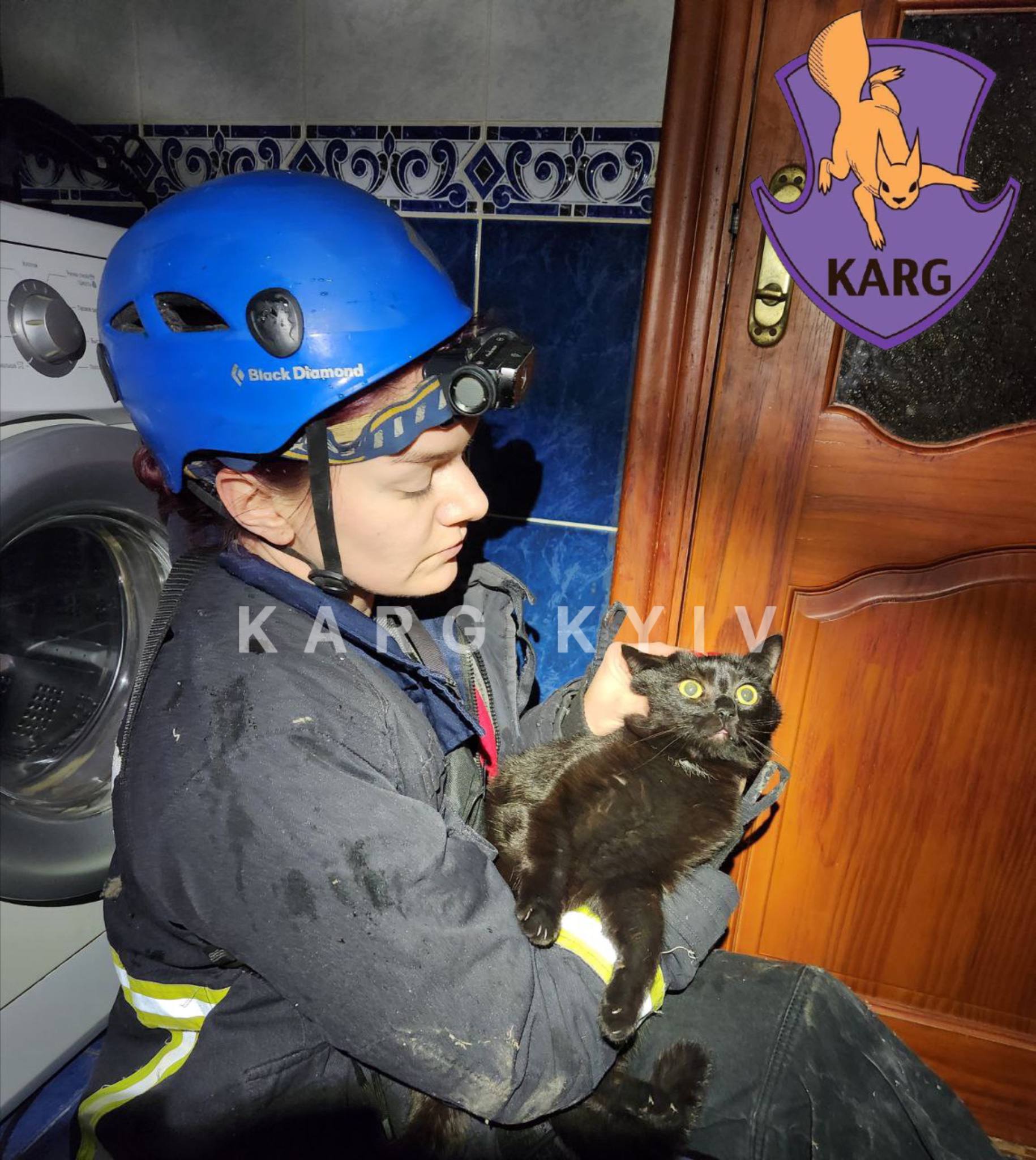 В KARG показали, як рятували домашніх тварин під час обстрілу Києва - фото 8