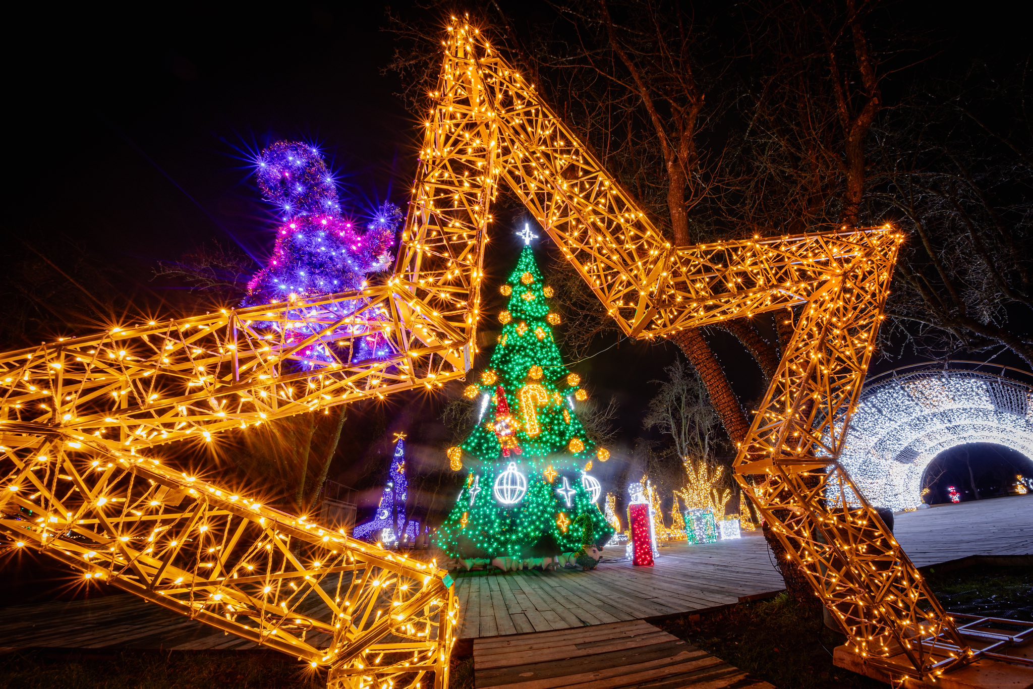 На ВДНГ в Києві відкрили Зимову країну - фото 6