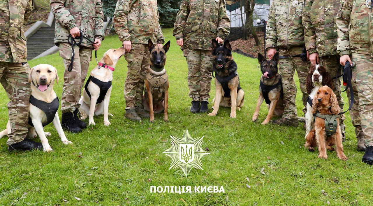 Службові собаки столичної поліції відшукали понад 50 кг наркотиків з початку року