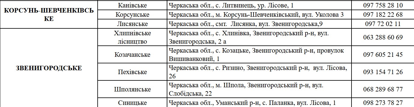 Де купити ялинку у Черкасах: локації та ціни - фото 2