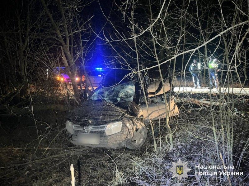 На Вінниччині водій Duster з’їхав у кювет, перекинувся і в’їхав у дерево