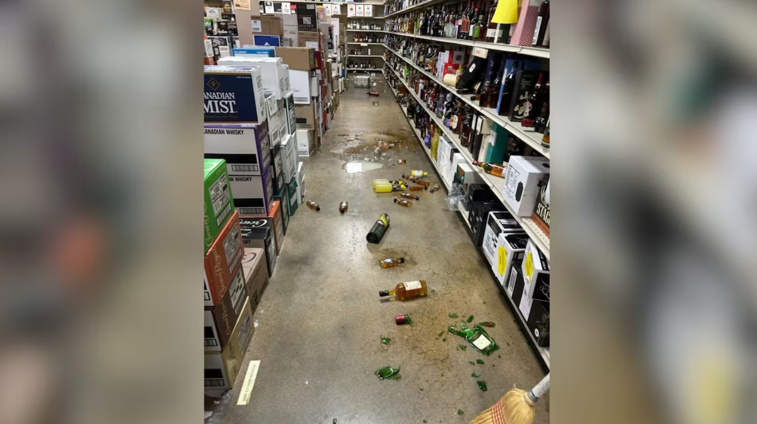 Єнот «напився» в американському магазині алкоголю і заснув у туалеті
