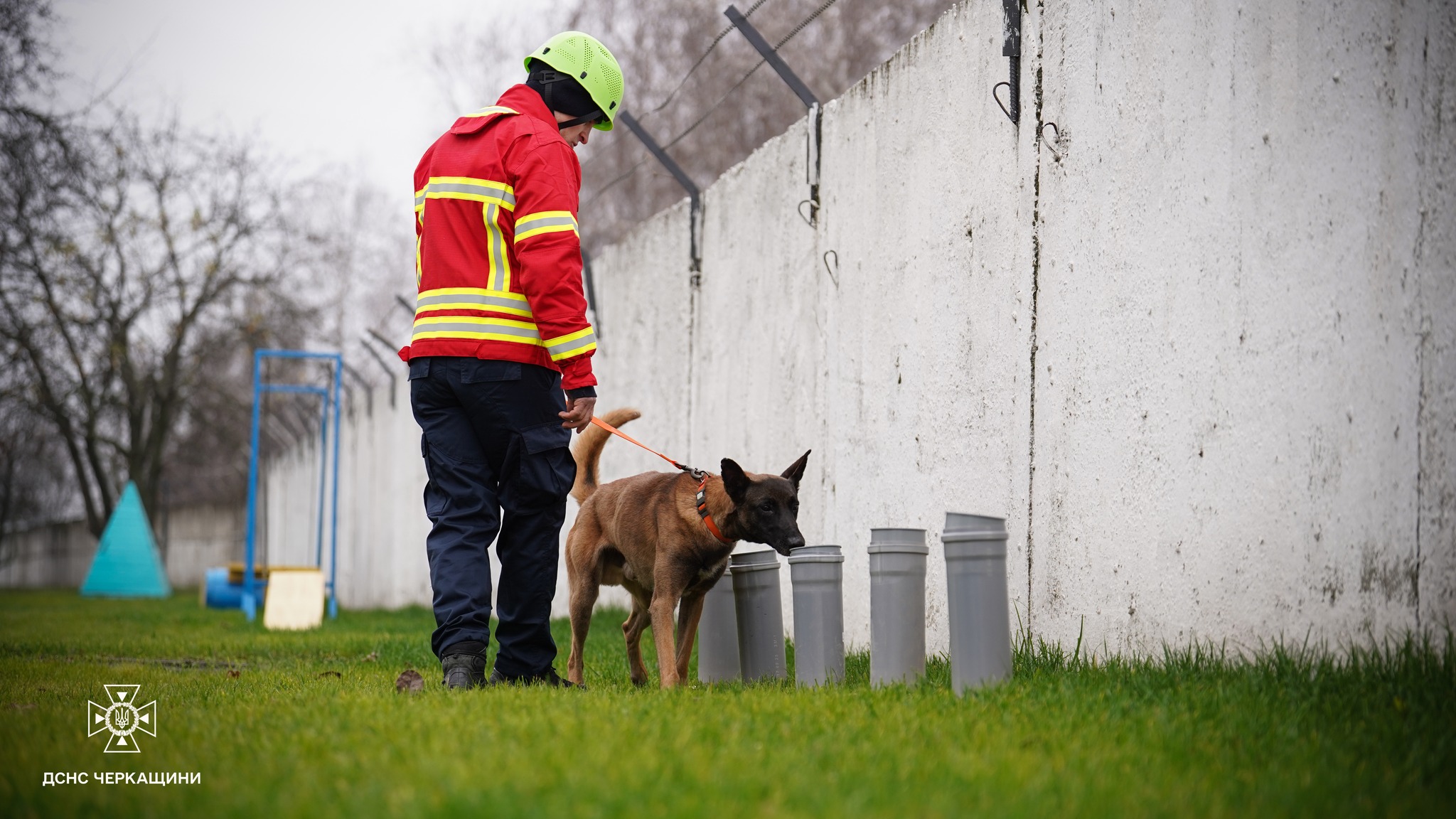 Черкаських рятувальників підсилив чотирилапий напарник Блерт - фото 2
