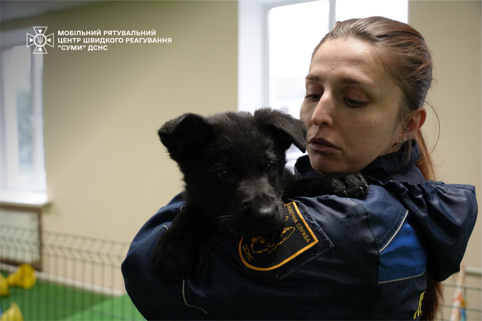 Семеро цуценят народилися у розпліднику ДСНС. Фото і відео - фото 3