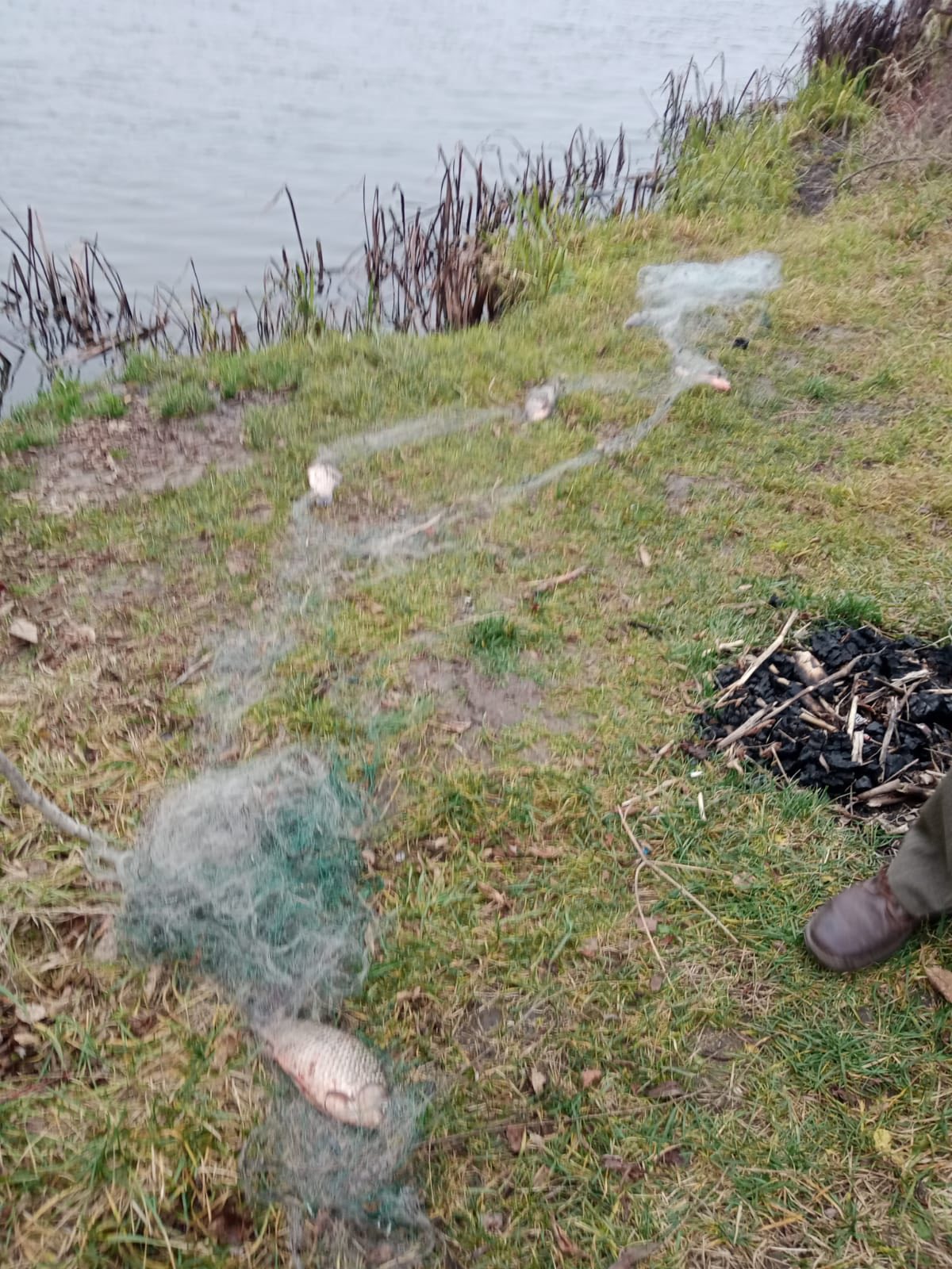 У річці на Вінниччині браконьєр ловив рибу у зимувальній ямі