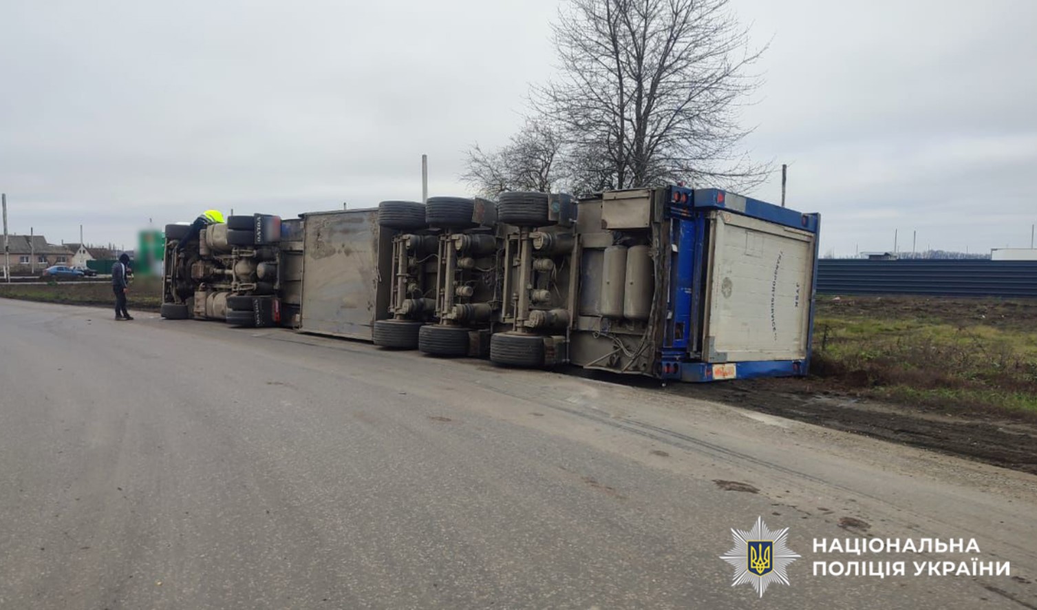 Вантажівка зі свиньми перекинулася у Христинівці