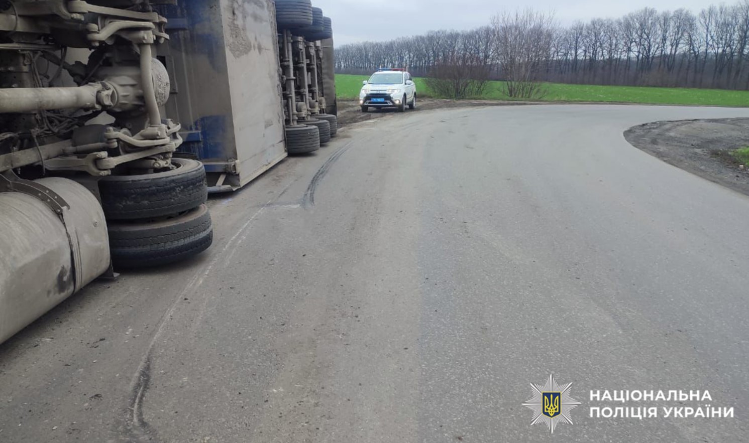 Вантажівка зі свиньми перекинулася у Христинівці - фото 2