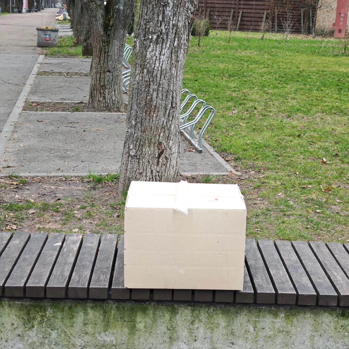 Черкаському зоопарку підкинули травмованого мартина у коробці